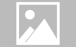 崇左新区景区网站建设（in art criticism,you must assume）